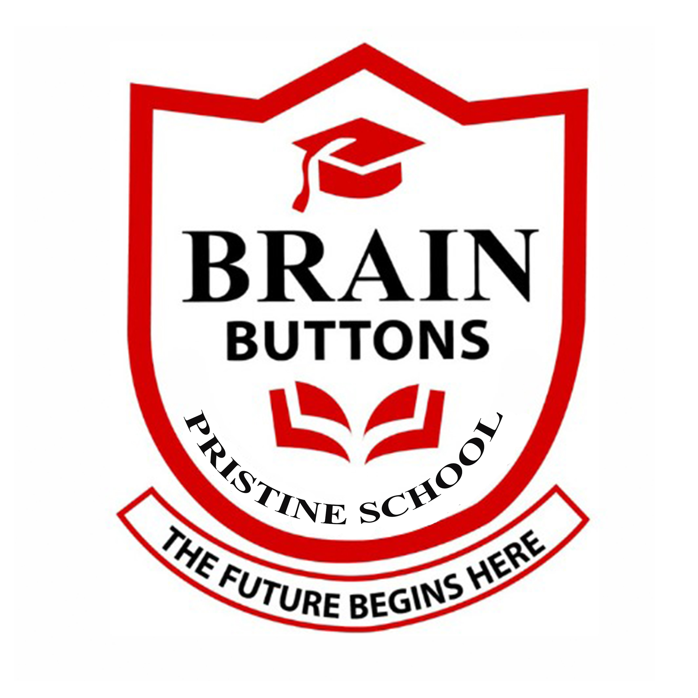 Brain Buttons Pristine School 